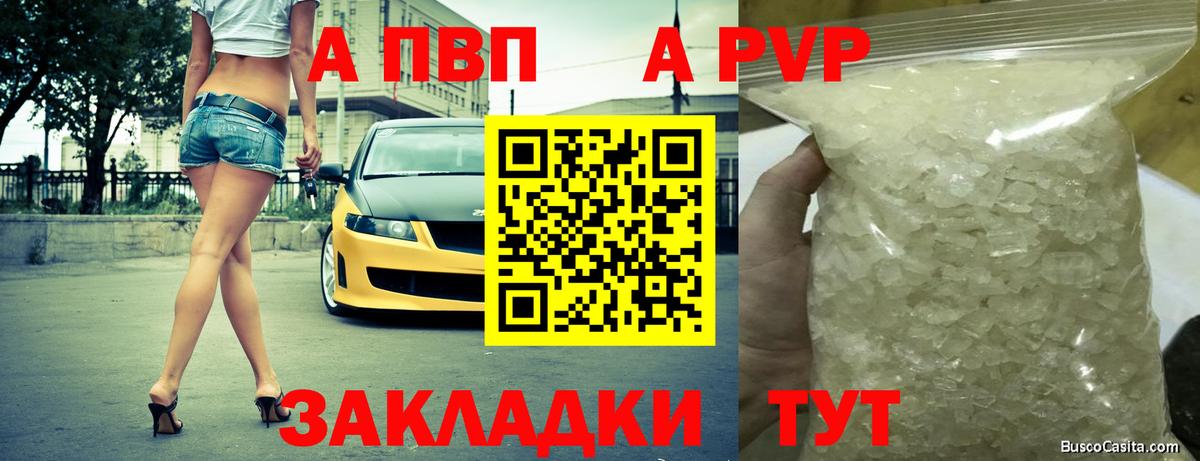 A PVP крисы CK Гатчина