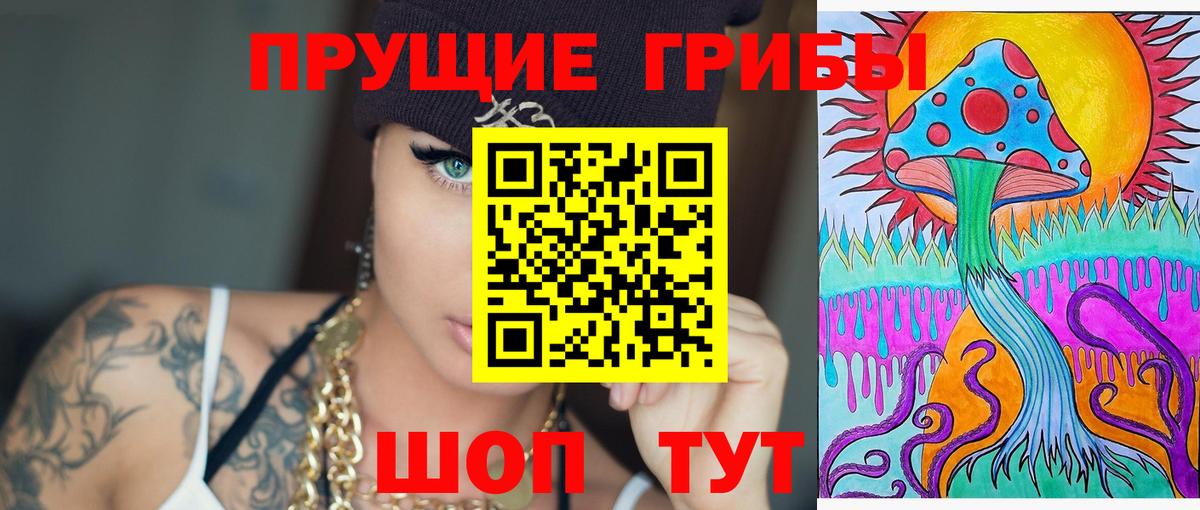 Каннабис Гатчина