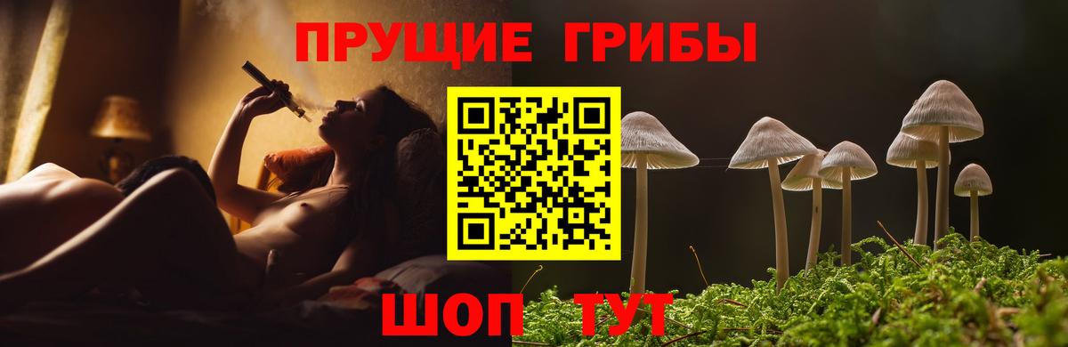 Псилоцибиновые грибы Magic Shrooms  Вход с VPN  цены   Гатчина 